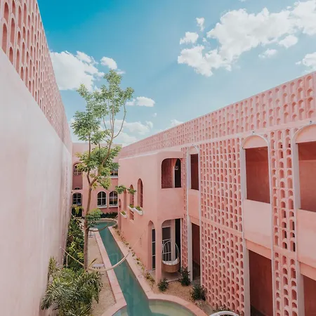 Casa Amate 61 - Mérida centro-3